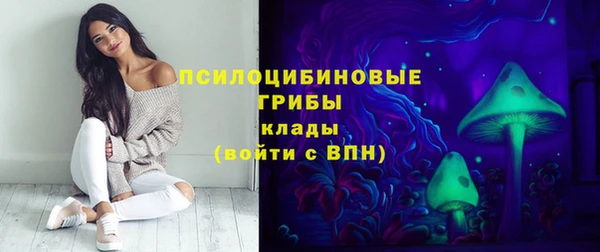 прущие грибы Лихославль